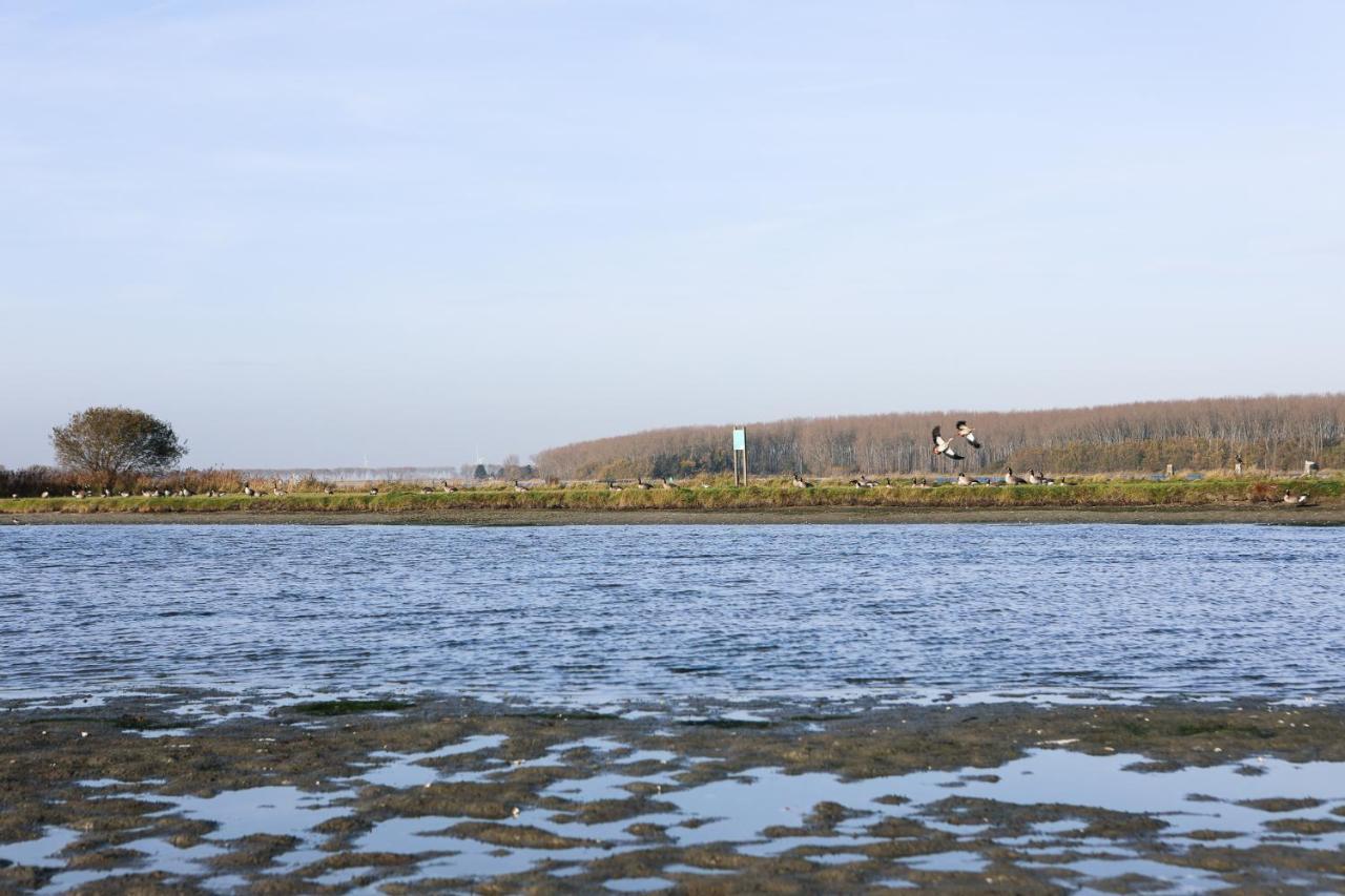 Wolphaartsdijk Huis Met Een Uitzicht Bagian luar foto