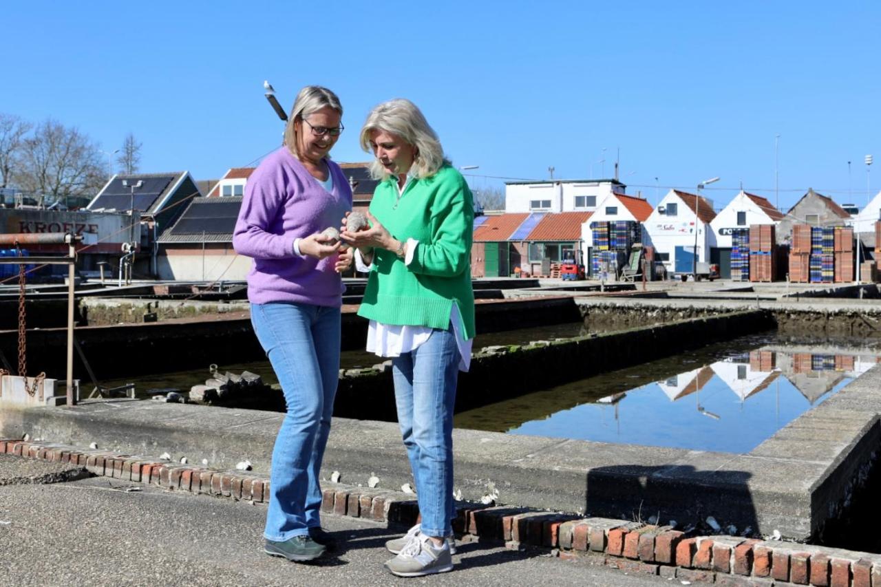 Wolphaartsdijk Huis Met Een Uitzicht Bagian luar foto
